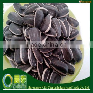 [NEW CROP] American Drying Sunflower Seeds 1121