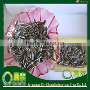 2013 Inner Mongolia Long Type Chinese High Quality Sunflower Seeds 5009 24/64