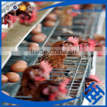 Factory Poultry equipment Galvanized cages laying hens layer chicken cage