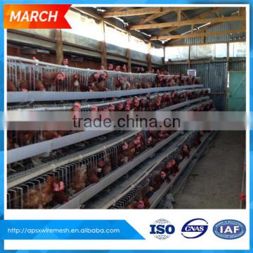 big sale beautiful reduce aggression 3 tiers galvanized battery cage