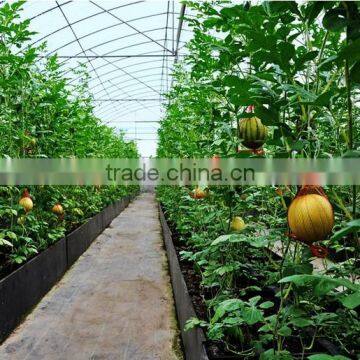 Good Daylighting and UV Resistance Vegetables Greenhouse,fruit Greenhouse,fiberglass Greenhouse photo-2