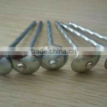 Umbrealla Nail With Roofing Head and Thread Nail Body photo-2