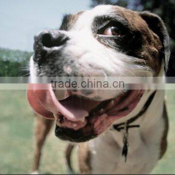 Mini Capacity Dog Feed Making Line photo-5