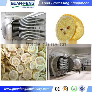 Professional Fruit Lyophilizer Equipment Industrial Lemon Drying Machine