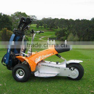 1000W golf curiser(SX-E0906)