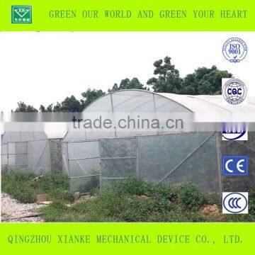 Large Venlo Film Greenhouse for Seeding photo-3