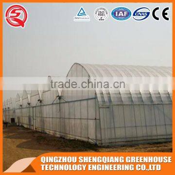 China Multifunction Plastic Greenhouse for Agricultural Farming photo-6