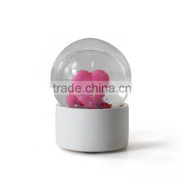 Small Custom Plastic Snow Globe photo-5