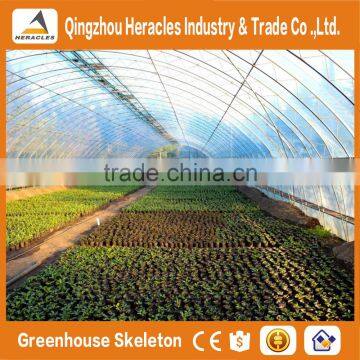 Heracles Trade Saaurance Good Quality uv Plastic Poly Tunnel Greenhouse for Sale photo-6