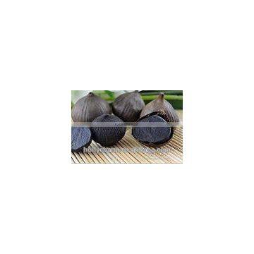 2016 best-seller the natural green organic solo blackgarlic from china