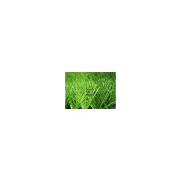 Football artificial turf