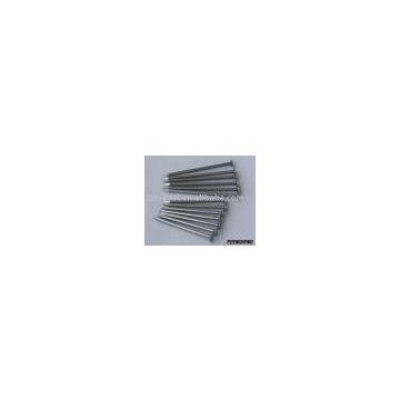 Common round wire nails