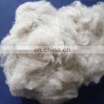 Carded and Dehaired Cashmere Fiber for India Market photo-3