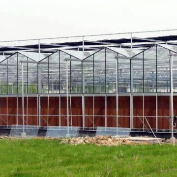 Multi Span Glass Greenhouse With 5+6+5/5+9+5mm Hollow Glass photo-2