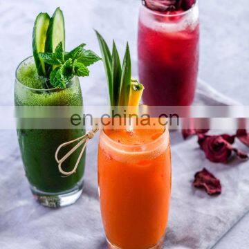 Germany Deutstandard Commercial Automatic Orange Juicer Machine Blender for Sale photo-6