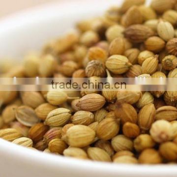 100% organic Coriander seed hike exporters