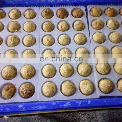 Popular Seafood Snack Frozen Takoyaki Sale for Export photo-3