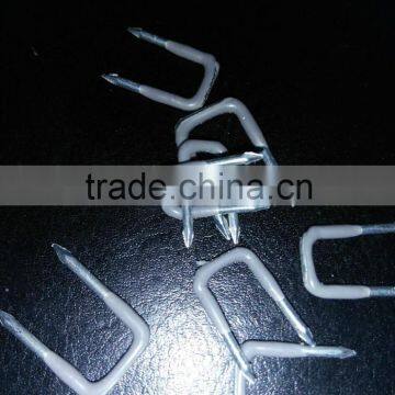 Plastic-coated Shaped Nails China Supplies photo-3