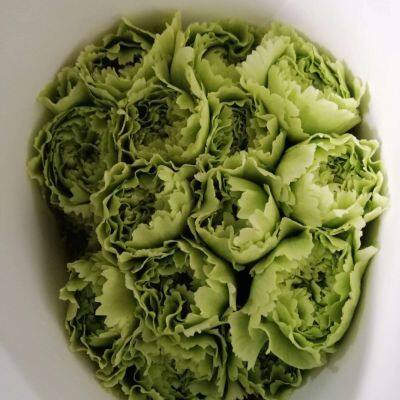 Fresh Cut Berry From China China Fresh Flower Supplier photo-4