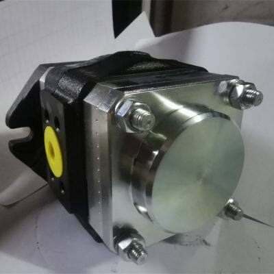 EIPH-Serie Zahnradpumpen EIPH2-025RK23-11 EIH2-016RK00-11 EIPC3-050RK23-10 EIPH EIPC2 EIPC3 EIPC5 EIPC6 Hydraulische Servozahnradpumpen photo-2