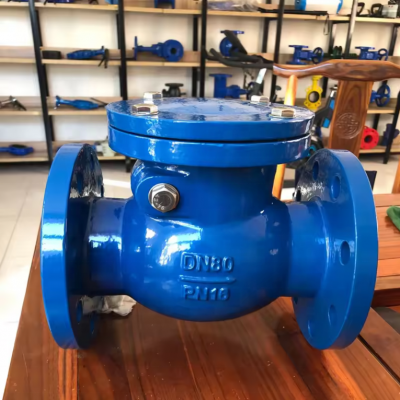 DIN BS Flanged End Metal Seat Check Valve Pn16 2-24 Inch Stop Valve for Water Oil Gas Appliance photo-5