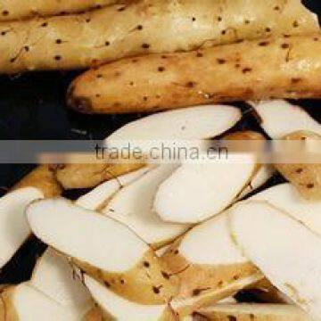 Factory Supply Wild Yam Extract Powder From China photo-2