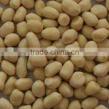 Blanched Peanut Kernel