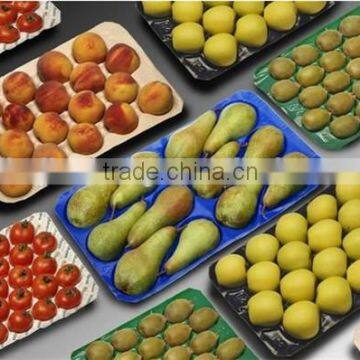 Different Sizes Free Samples Plastic Fruit Packaging Trays