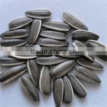 2013 New Crop America type 5009 Sunflower Seeds 22/64