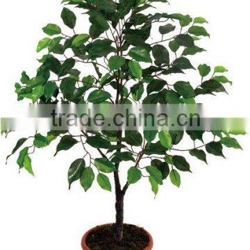 Imitation Artificial Ficus Tree