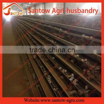 Quality most popular steel wire layer quail layer cages