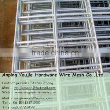 hot / electro galvanized welded wire mesh (directly factory)