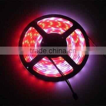 Best price High brightness flexible led strip light IP65/IP20/IP67/IP68 led rope