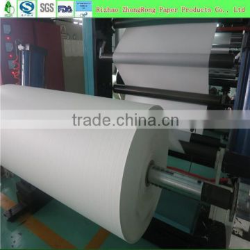 single pe coated paper