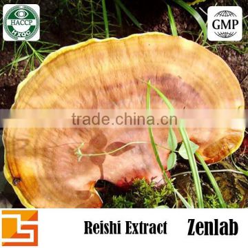 reishi powder for red reishi mushroom oil