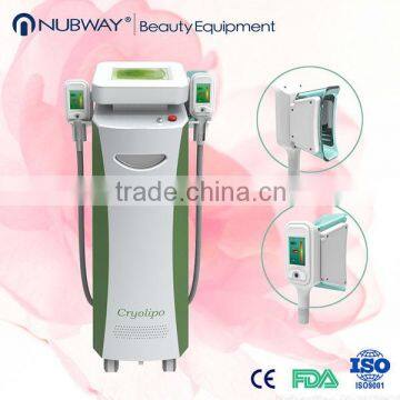 Fat Freezing Vertical Cryolipolysis Fat Double Chin Removal Removal Machine / Cryo Equipment