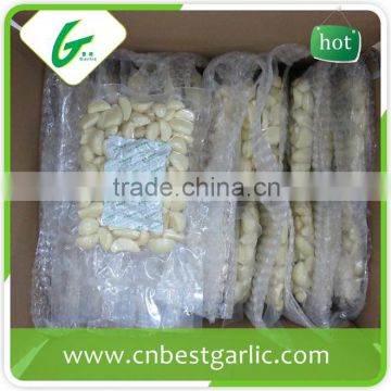 White pure fresh peeled garlic