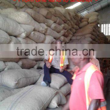 Very Good Tanzania Raw Cashew Nuts ( Tanzania Contact: 255 682 294 635) photo-5