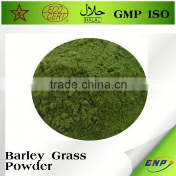 Free Samples Barley Grass Extract Powder