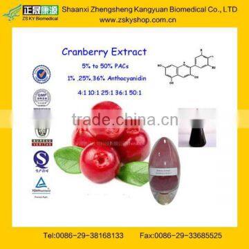 GMP Factory Supply High Quaity Cranberry Fruit Extract