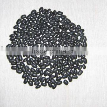 Black kidney beans