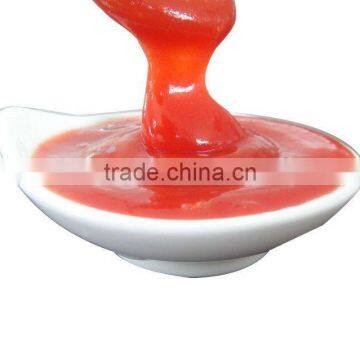 Tomato Ketchup Tomato Sauce OEM China Manufacturer Factory for Africa photo-4