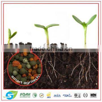 Organic Chemical fertilizer Macronutrient Granular NPK 12-3-12 OM10%