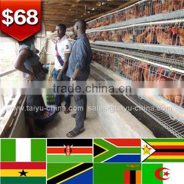 Trade assurance NO.1 Full automatic systems 5tier cage of poultry