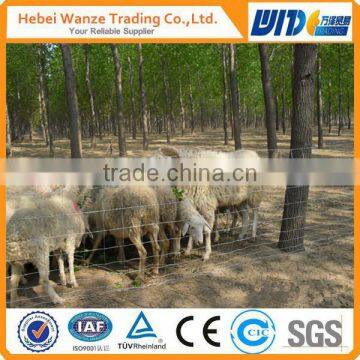 TUV Rheinalnd certificated factory animal protective fence for Australia