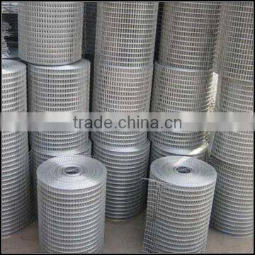 AnPing supply bird cage welded wire mesh roll(factory and exporter)