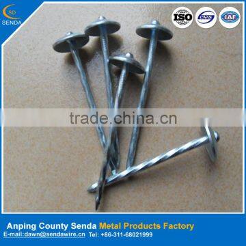 silver roofing nails galvanized / zinc coated nail with umbrellar head