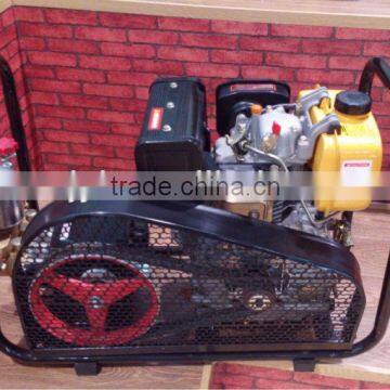 Stretcher Power Sprayer YL-30DE photo-3