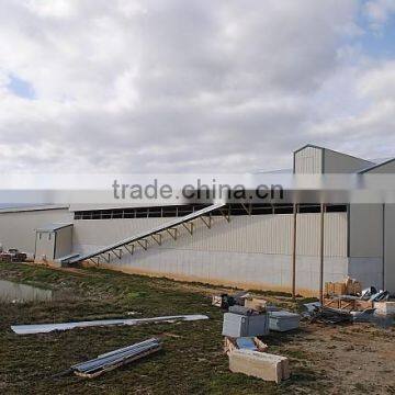 BT Factory Chicken Farming for Broiler Chicken photo-2