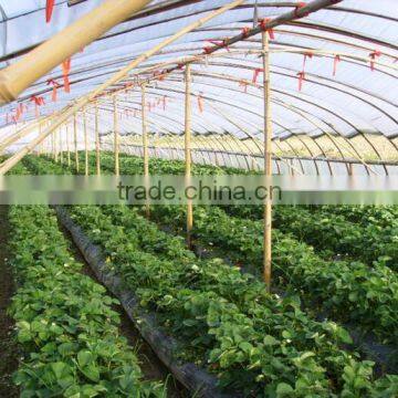 Ground Cover Fabric Grass Weed Control Mat photo-3